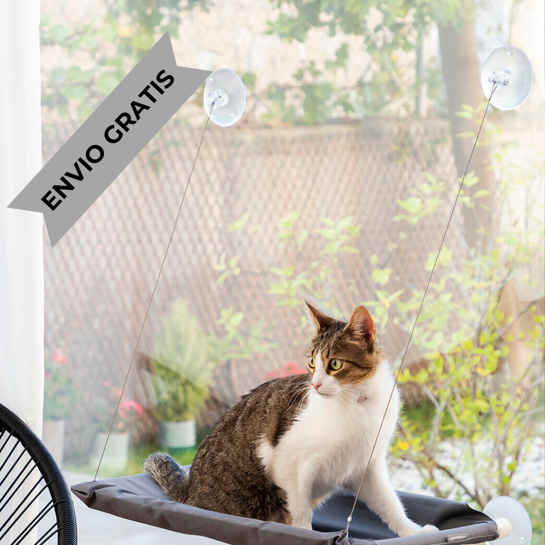 Hamaca Colgante para Gatos Catlax InnovaGoods